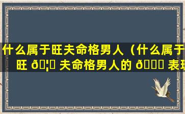 什么属于旺夫命格男人（什么属于旺 🦟 夫命格男人的 🐟 表现）